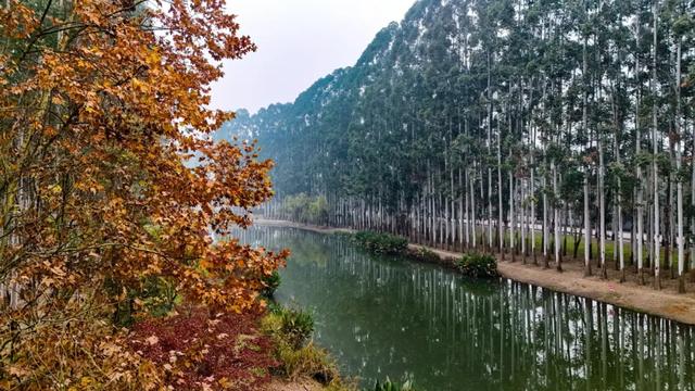 晒太阳~从从容容逛公园赏美景