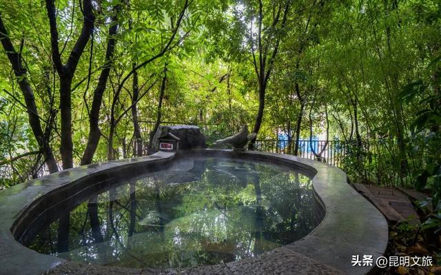 冬日暖“泉”攻略！来富民开启暖意融融的休闲康养时光