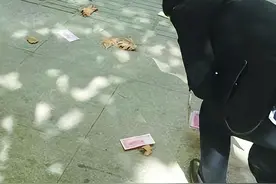 出门在外，碰到这5种东西，不要捡回家！小心把“麻烦”带回家图片