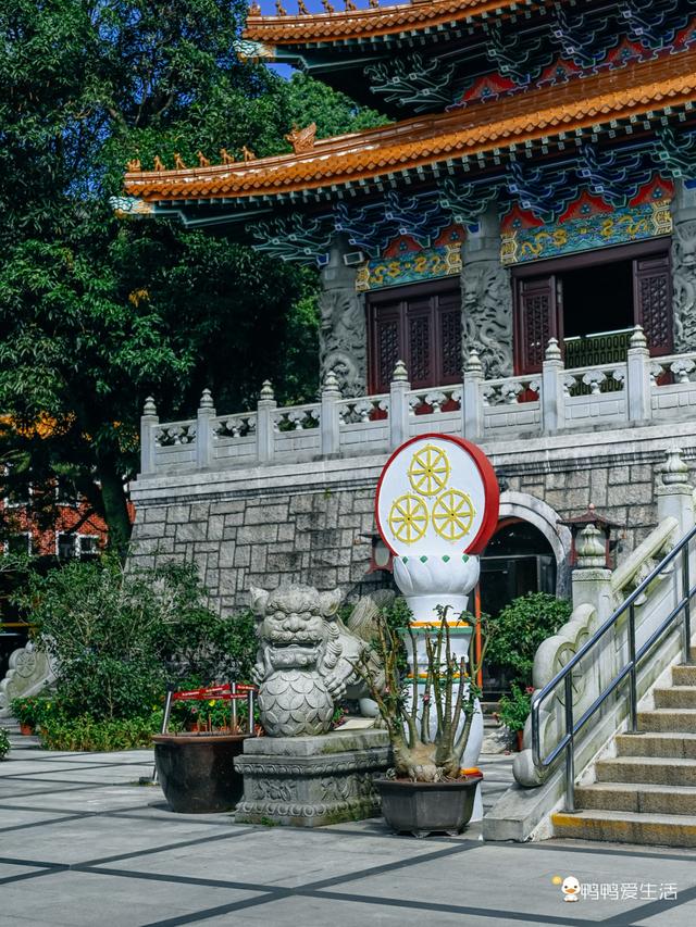 香港昂坪360全攻略：25分钟高空揽山海，登顶全球最大户外青铜佛