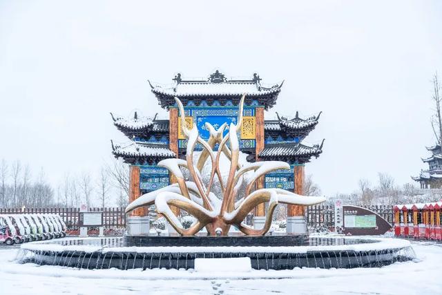 雪后的盐都，每一帧都是壁纸