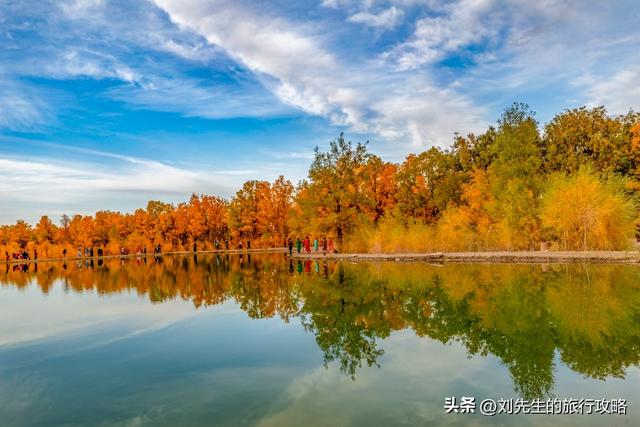 10月限定｜穿越金色时空：中国三大胡杨林，终极赏秋指南