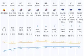 直冲31℃！抓紧晾晒！接下来降雨又要来了，深圳天气具体预报图片
