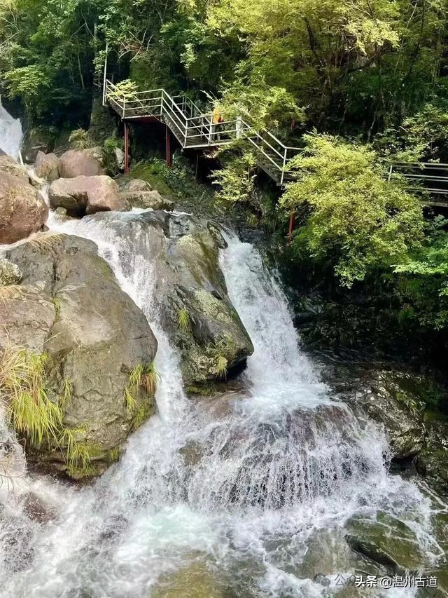 温州高山峡谷隐藏的小众秘境,驴友的瀑降宝藏地!雨后风光绝佳!
