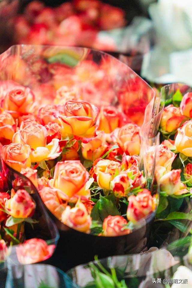 满屏治愈！这个冬日，你一定要去趟斗南花市，邂逅一场流动的彩色盛宴~
