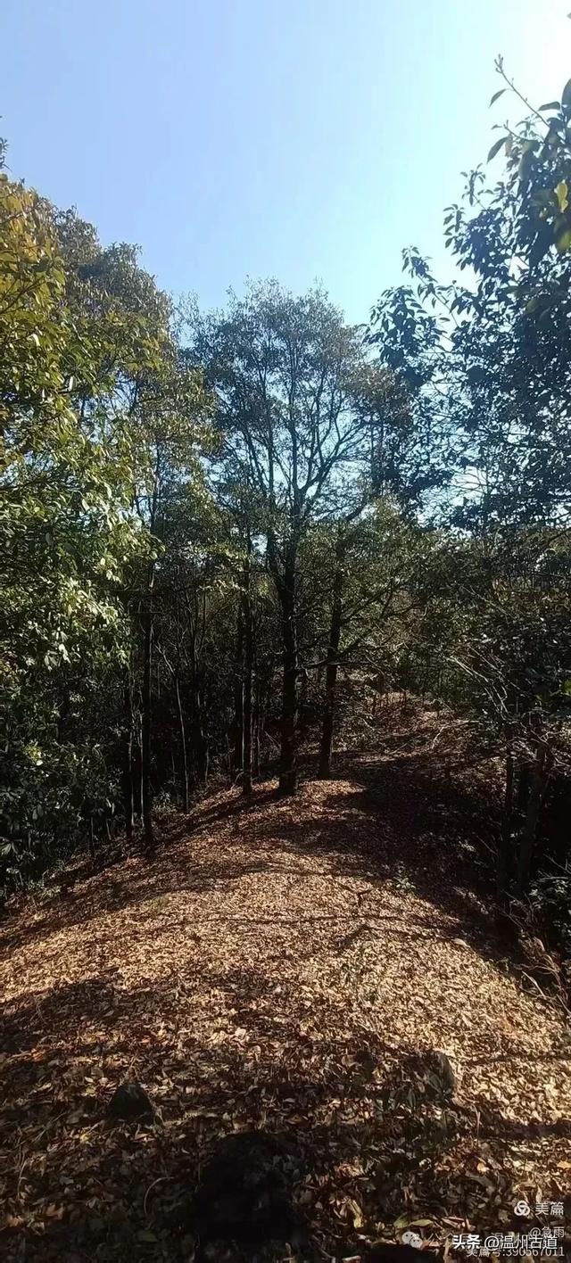 探秘楠溪江源头，深山中的秘境！