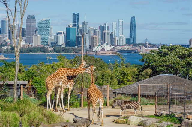 今年冬天，我想去这里过夏天
