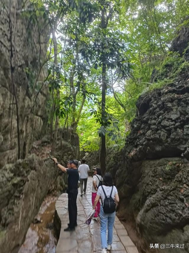 无为在歧路，贵州六日行（8）～黄果树