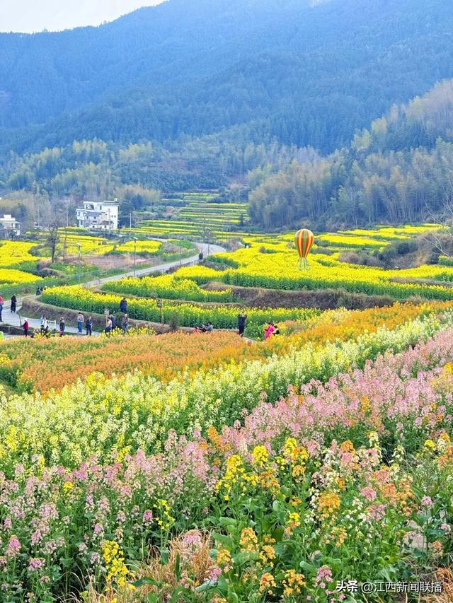 花花世界，邀你赴约~