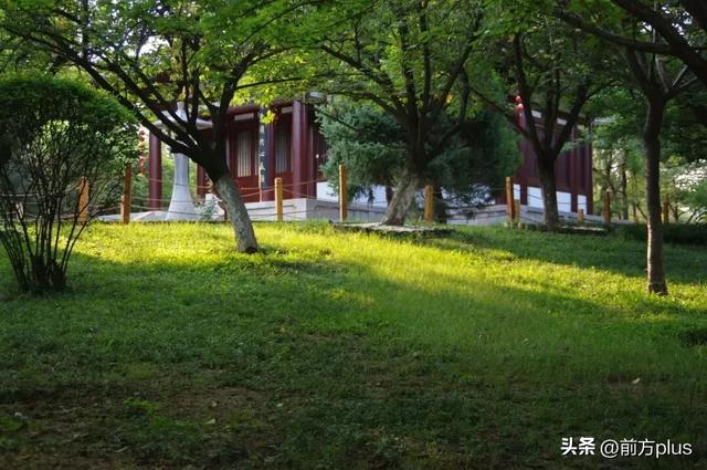 西安这4个宝藏馆！阴雨天去超合适！