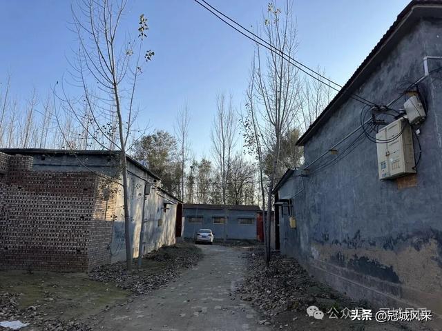 冠县乡韵·贾镇荆楼村