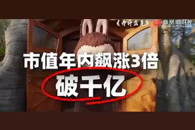 售价涨2237%！一年市值翻三倍，为什么是它？图片