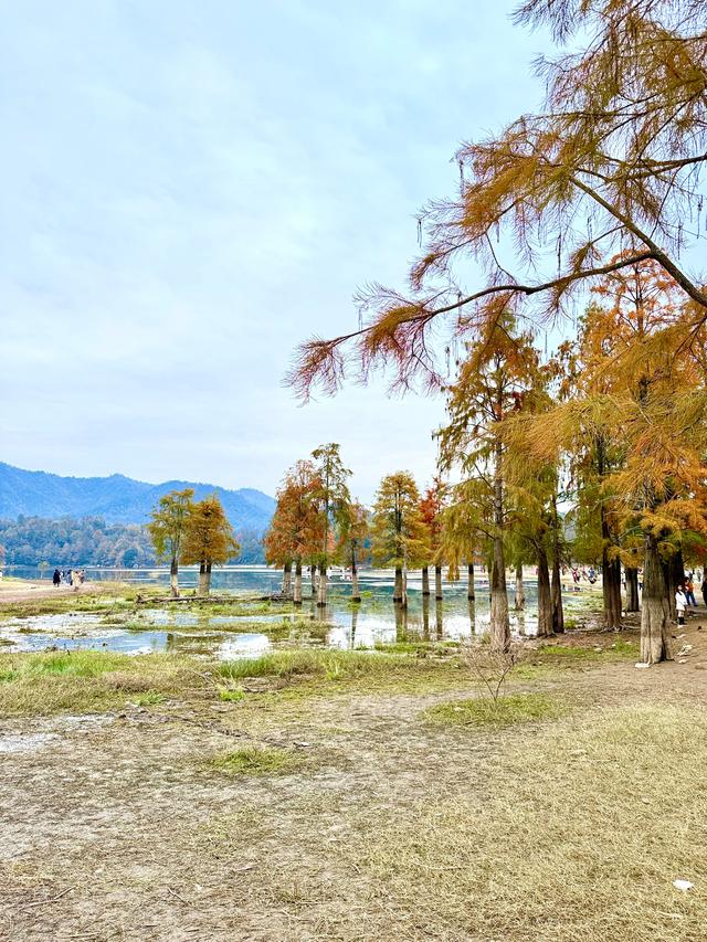 等待日出（黟县宏村镇卢村与奇墅湖）