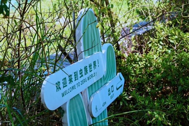 周末带娃撒欢，去旺山郊野公园觅野趣！