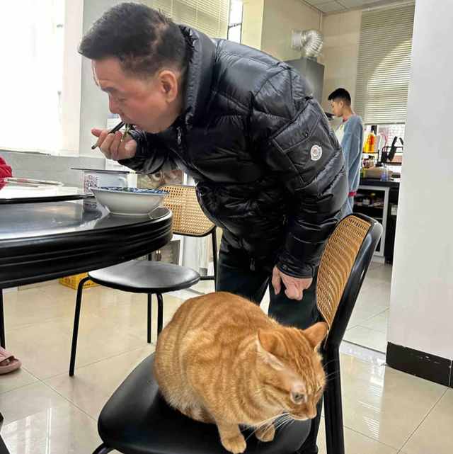 女儿吐槽妈妈太惯猫了，点开前：能惯成啥样，点开后：这不合适吧