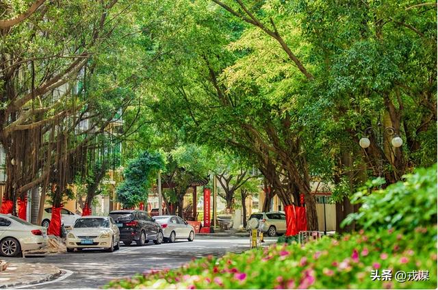 房企不炒房改卖玉？玉器城变直播基地，2.4亿战绩太疯狂！