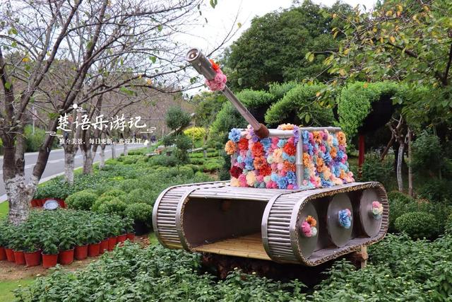 宁波这个网红菊花展已经上线，花还没开但景色很美，快来先睹为快