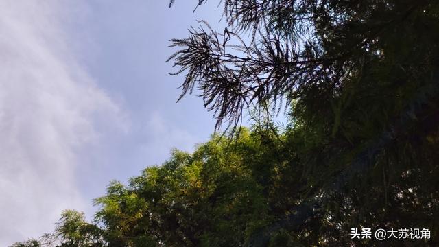 南京私藏的秋日秘境！溧水无想山的秋，才是真·金陵浪漫