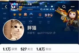 胖猫事件后续：分手原因曝光，女友喊冤退了13.6万元，双方已和解图片