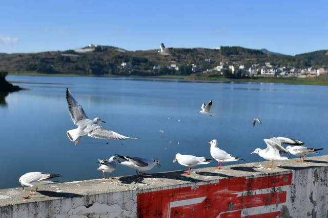 滇东北宝藏小城！鲁甸全域旅游攻略：田园、银韵、云端一次全解锁