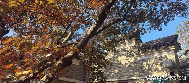 真是醉了，徒步奉化东西岙徐凫岩看悬崖飞瀑堵人竟然堵到怀疑人生