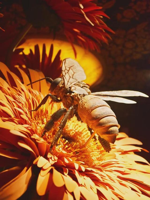 昌平工业旅游打卡点+1，年接待游客超9万人次