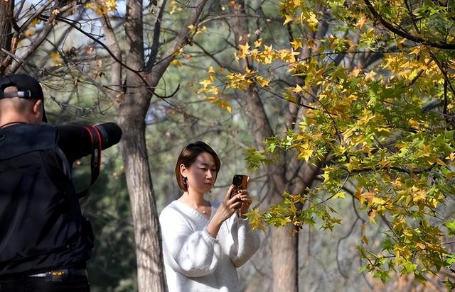 西安大明宫里邂逅初冬暖阳