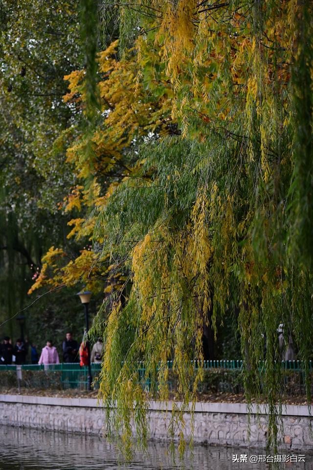 达活泉，这才是秋天该有的样子（图）