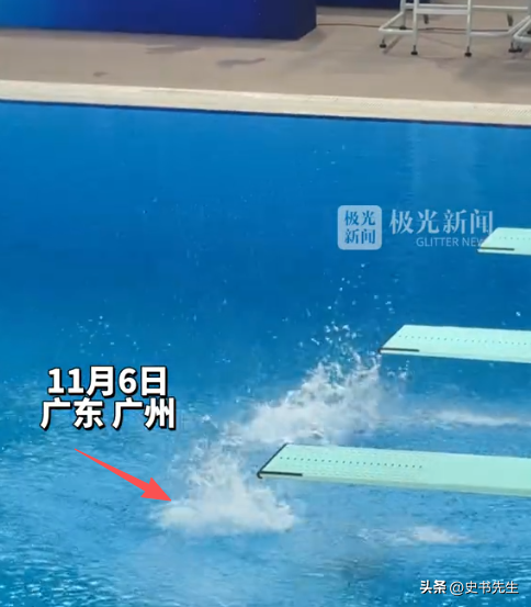 全红婵迎全运会收官战！预赛不敌陈芋汐组合，暂列第三，晚间决战