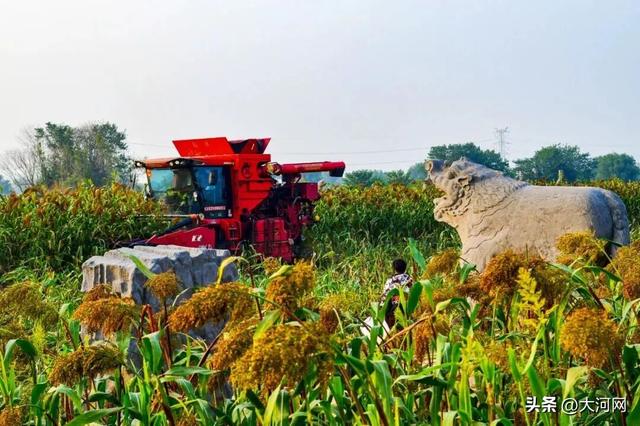 来这里，解锁千年的“限定秋色”！