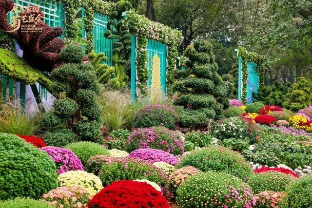 不愧是顶流！一大早就红了，人挤人持续好多天！萧山人家门口也有······