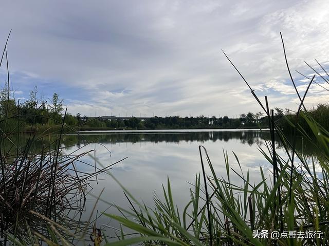 成都最近的原野公园，超级惊艳，一个湖风景就是王者，公交直达！