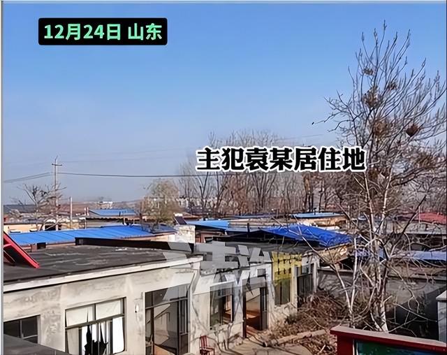 山东入室抢婴案一审宣判！最高判死缓，主犯当庭呼喊“我不服”