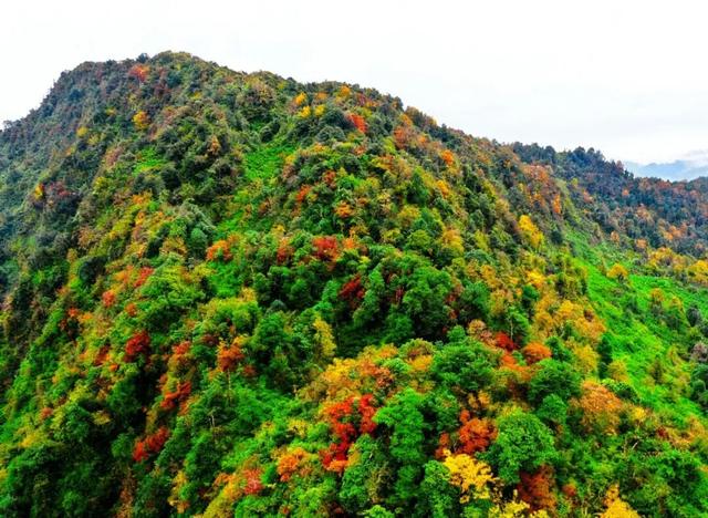 走，到屏山老君山赏秋去→