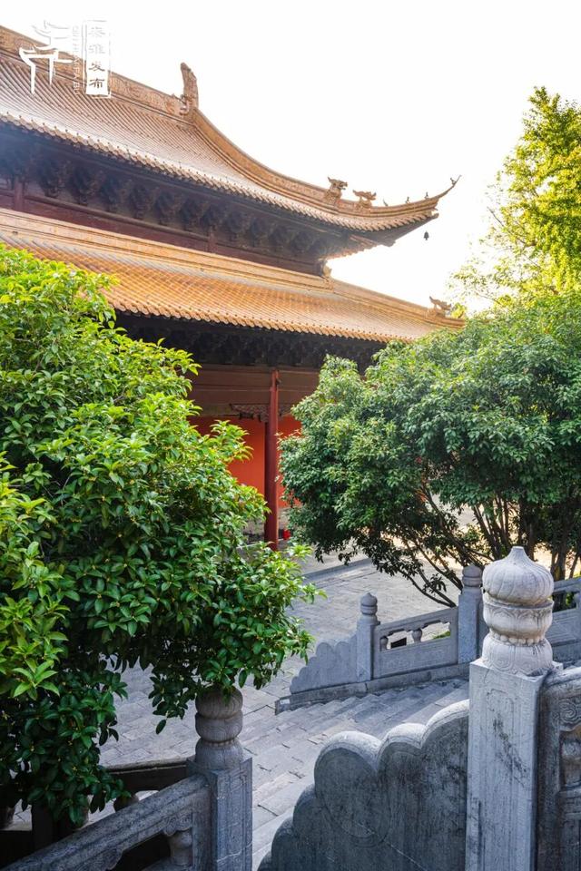 花样秦淮｜秋桂