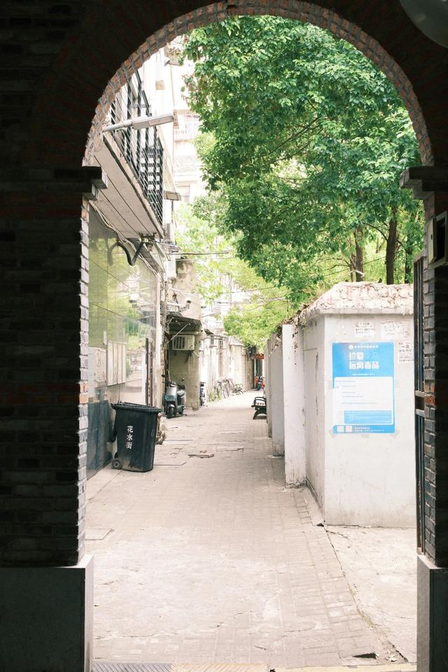 来，走进江汉路的林荫道
