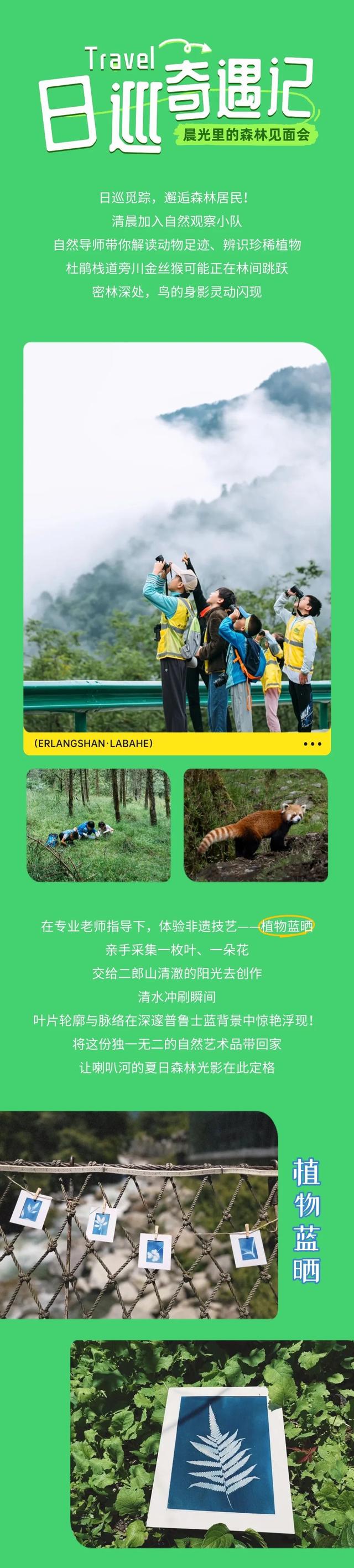 成都周边3h可达宝藏避暑地！来喇叭河一键降温！山风制冷超带感！