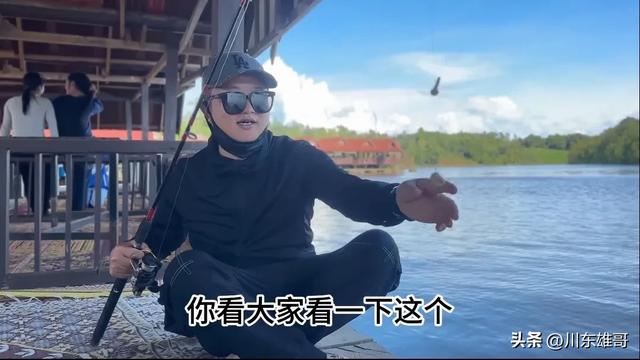 小依的咖啡园，即将迎来翻天覆地的变化。