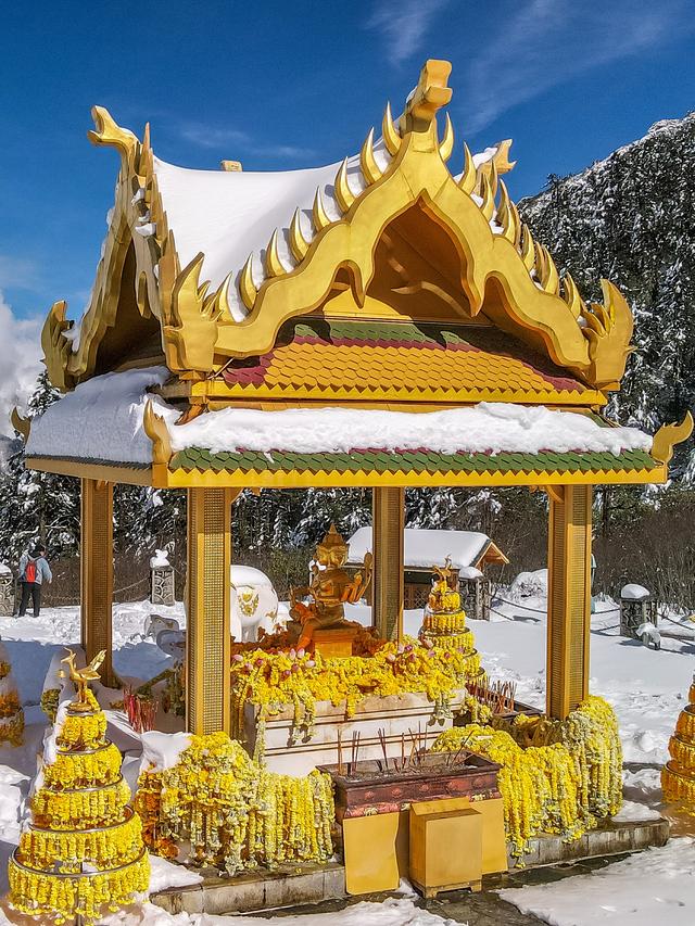 秋末初冬的海螺沟，是雪与金黄交织的双重浪漫