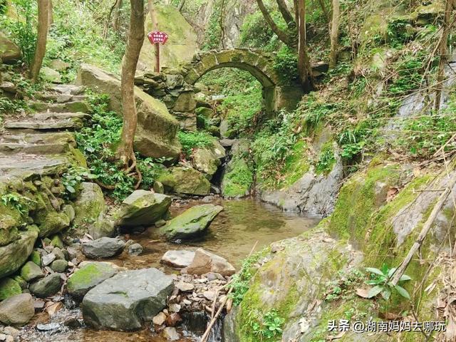 1.5h直达!藏在山野里的捡秋秘境,瀑布+挖宝双buff拉满!