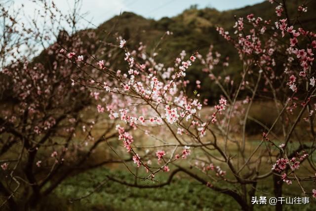 别等失去才懂珍惜！那段陪我骑行的时光，成了我余生不敢触碰的疤