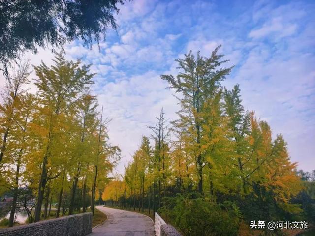 秋日，不去一趟石家庄植物园，会留遗憾