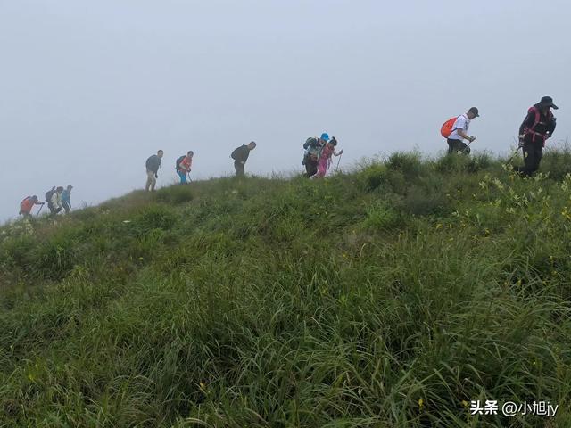 来呀，去白云山看金莲花，辽阳县大黑山风景区境内的白云山
