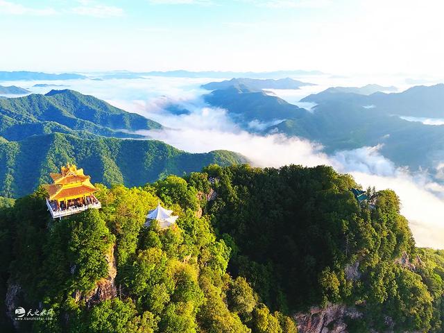 陇上仙境何处寻？秦州李子园——云海、森林与千年乡愁的清凉秘境