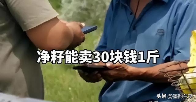 时隔六年，马云再回蚂蚁森林，当年一片荒漠，现如今已成绿洲