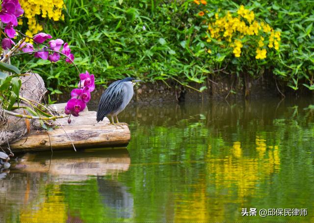 秋分日武昌沙湖信步