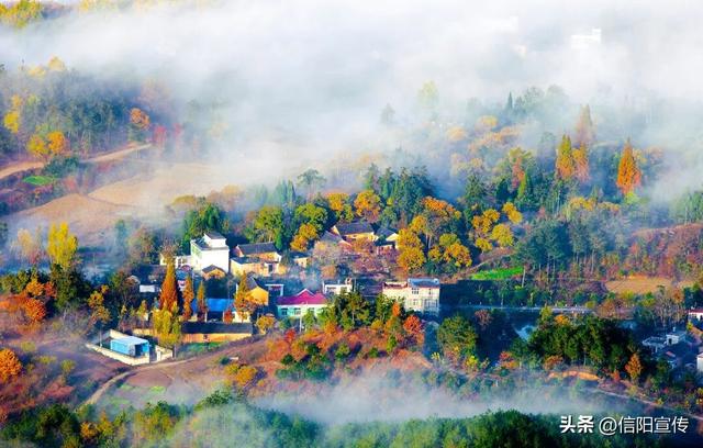 秋色正斑斓！信阳赏秋打卡地推荐