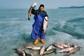 密云水库：一年投放500多吨鱼苗，为什么能成为北京人“鱼库”？图片