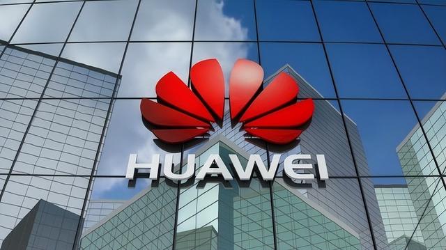 如果把华为定义为中国企业，那是太没有格局了