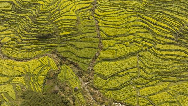 婺源：诗意山水间，文明旅游行